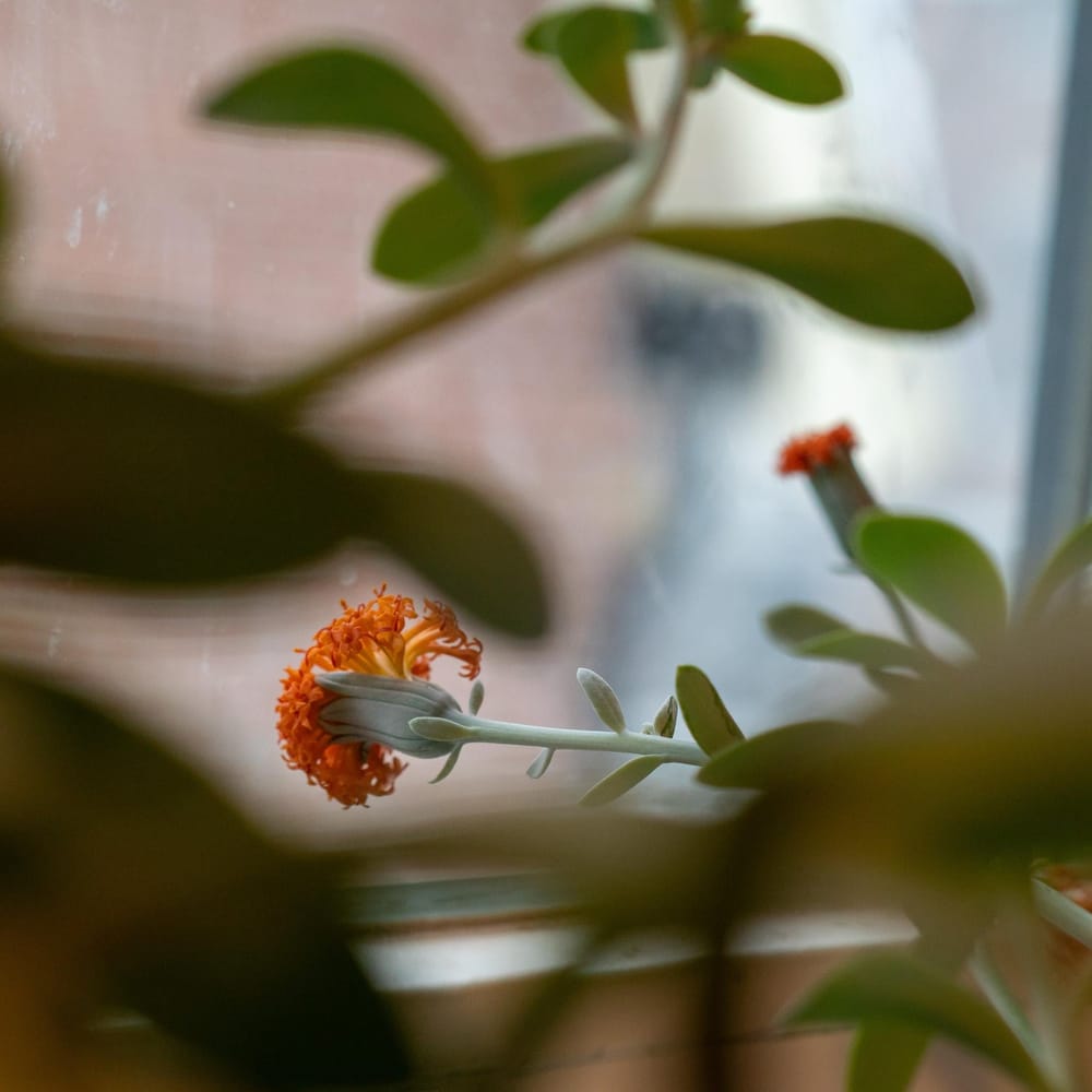 Seven daily mindful missions - image 10 - student project