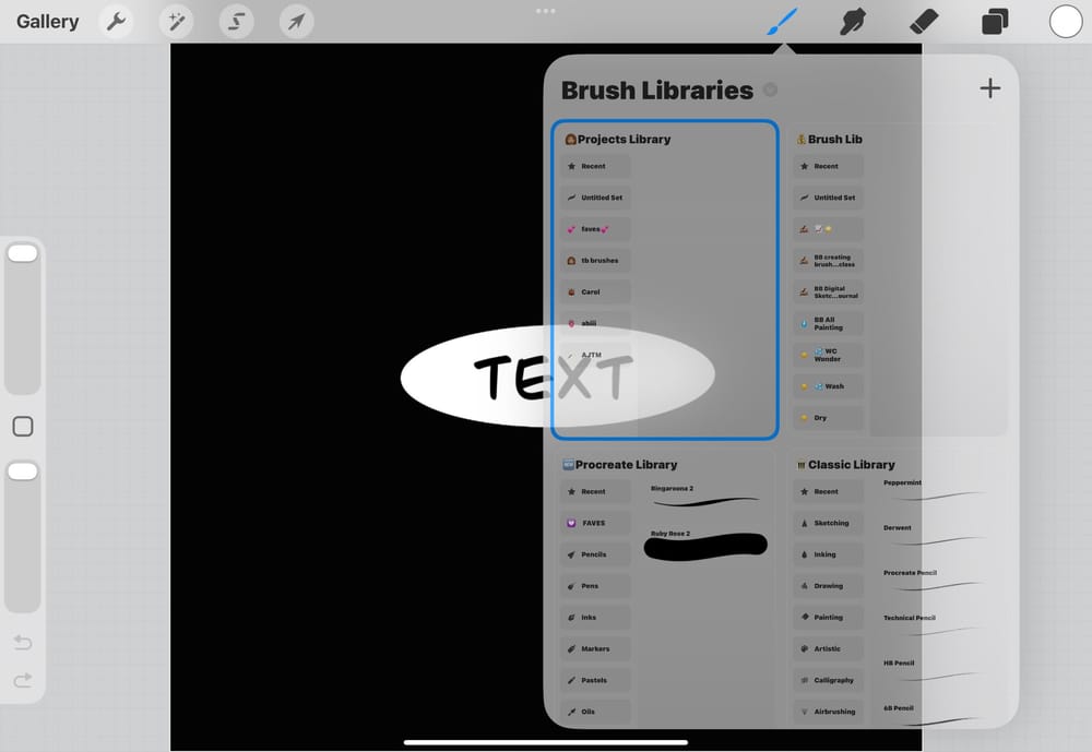 Class Procreate 5.4 Organization Example - image 1 - student project
