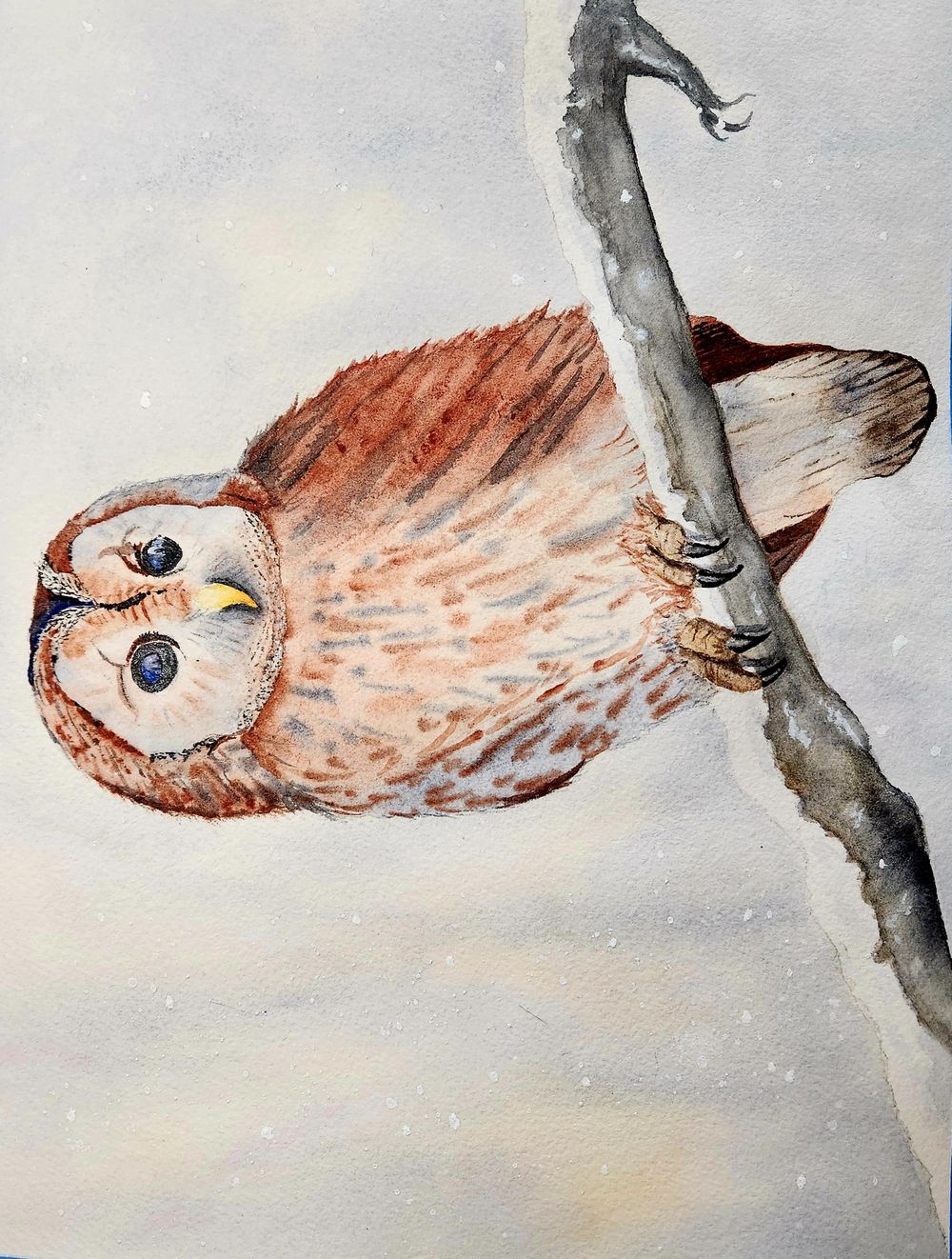 Winston the Owl - image 1 - student project