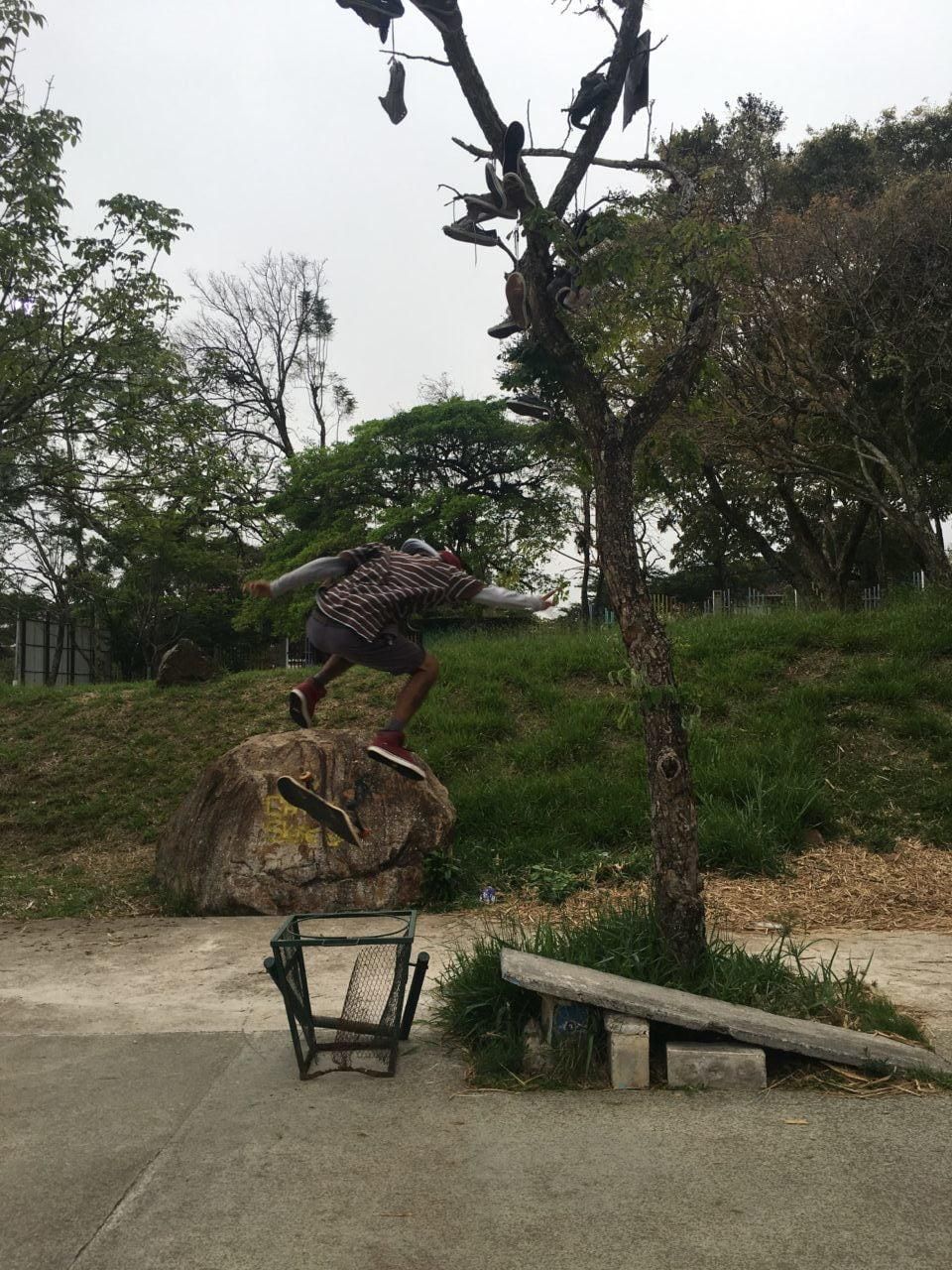 Backside Flip - image 1 - student project
