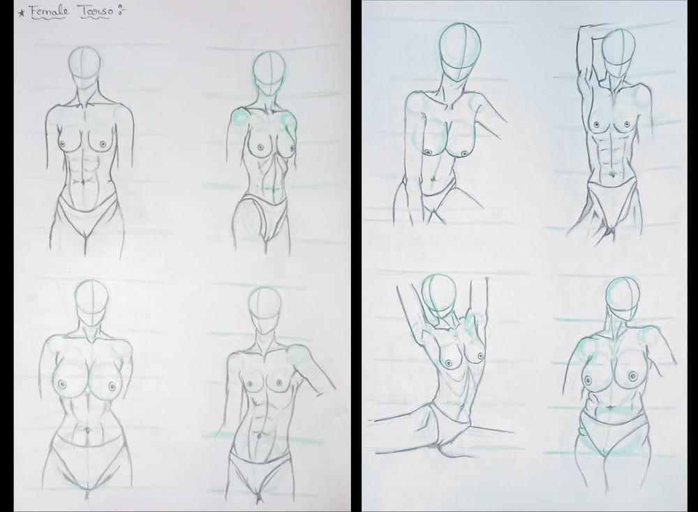 human anatomy - image 4 - student project