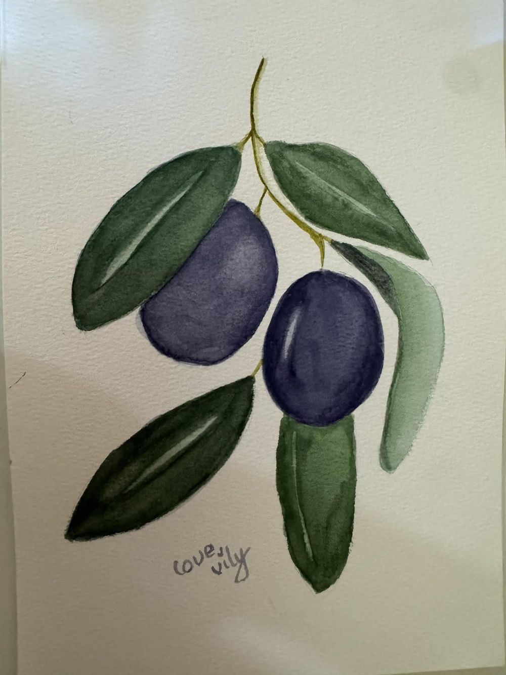 easy botanical watercolor-olives& leek - image 3 - student project