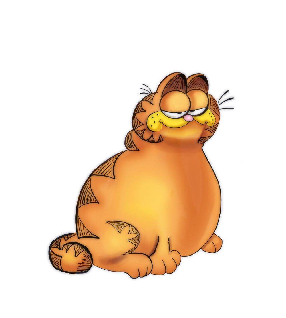 Garfield‘s rather large cousin - image 1 - student project