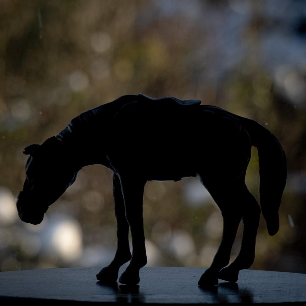 Seven daily mindful missions - image 11 - student project