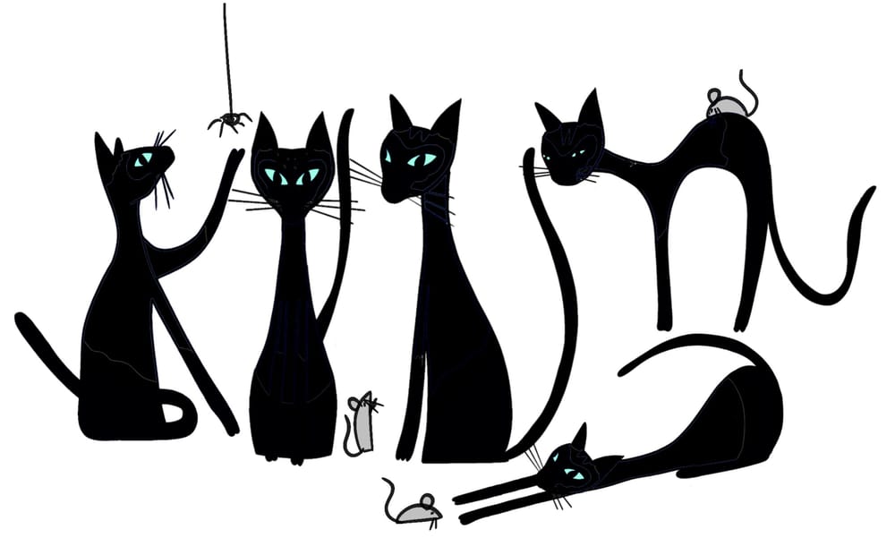 Cats and Mifty - image 7 - student project