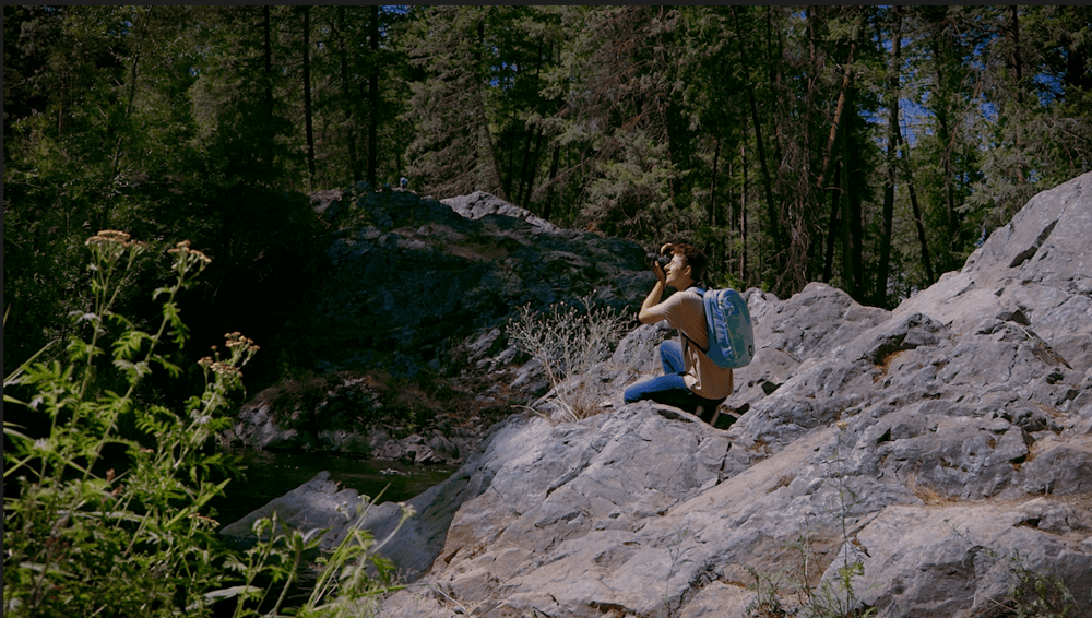 Intro to color correction and grading final project - image 2 - student project