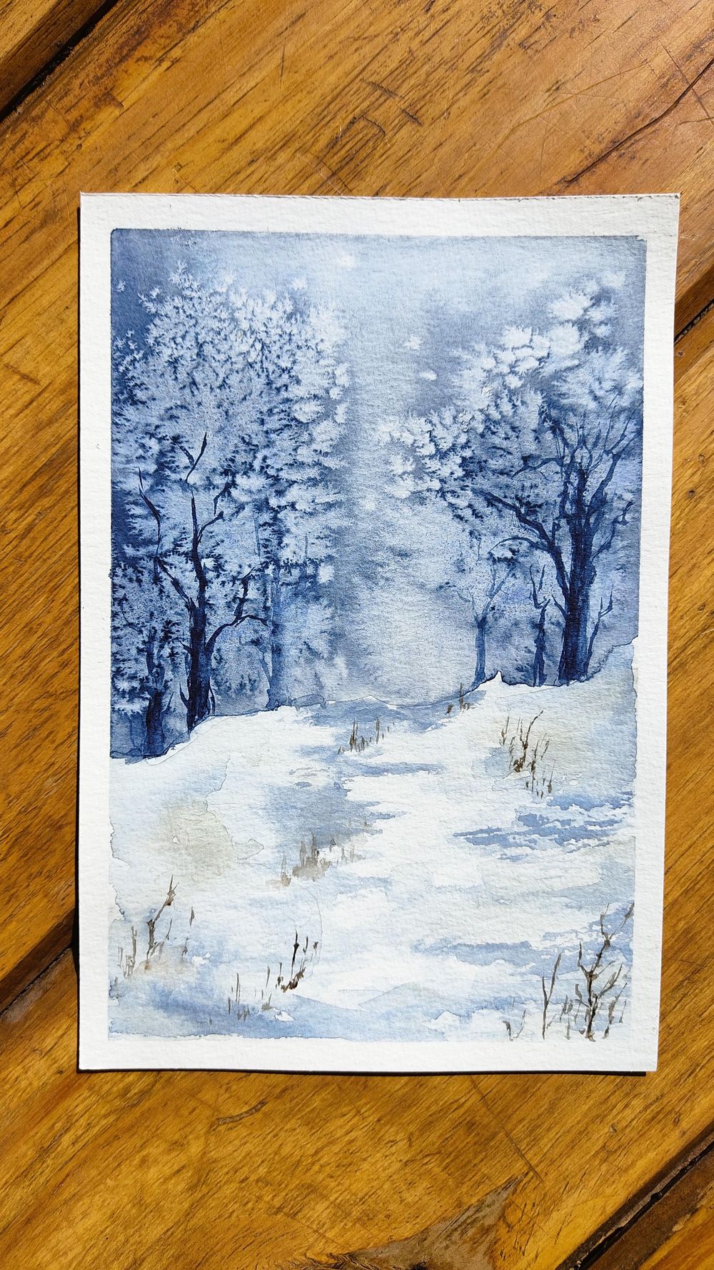 Calming Winter Scenes with Only 2 Colours - image 4 - student project
