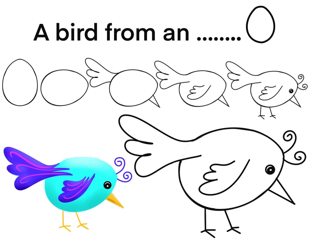 Birds from …… - image 4 - student project