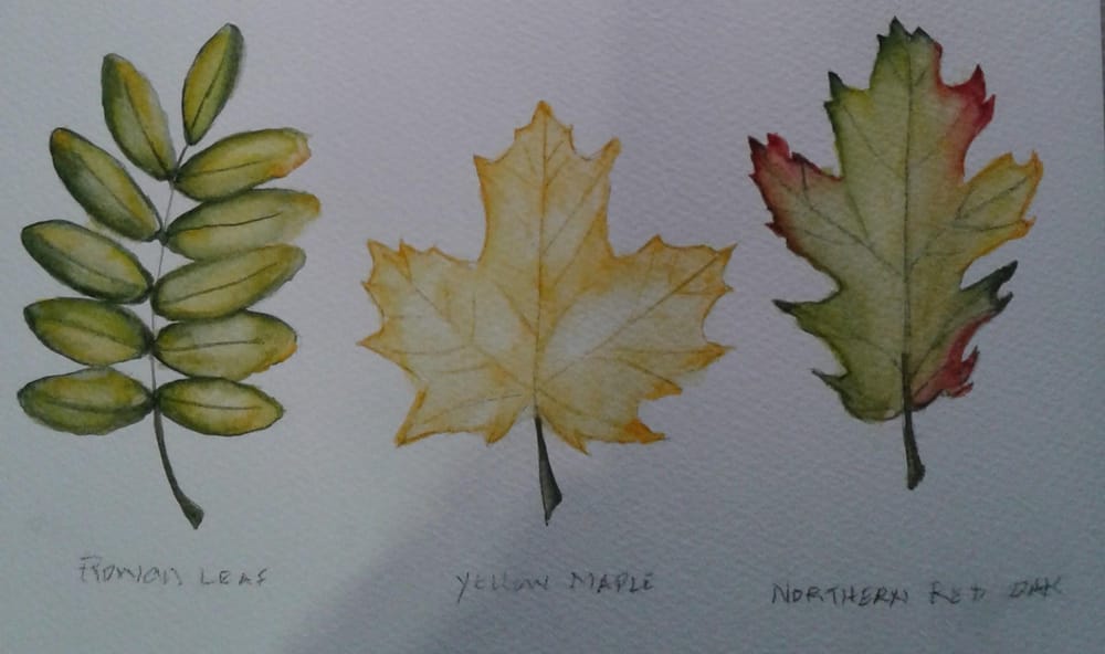 Autumn Leaves - image 1 - student project