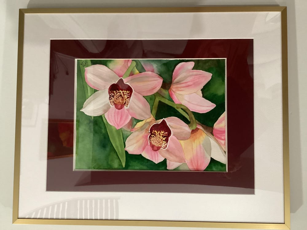 My orchid… - image 1 - student project