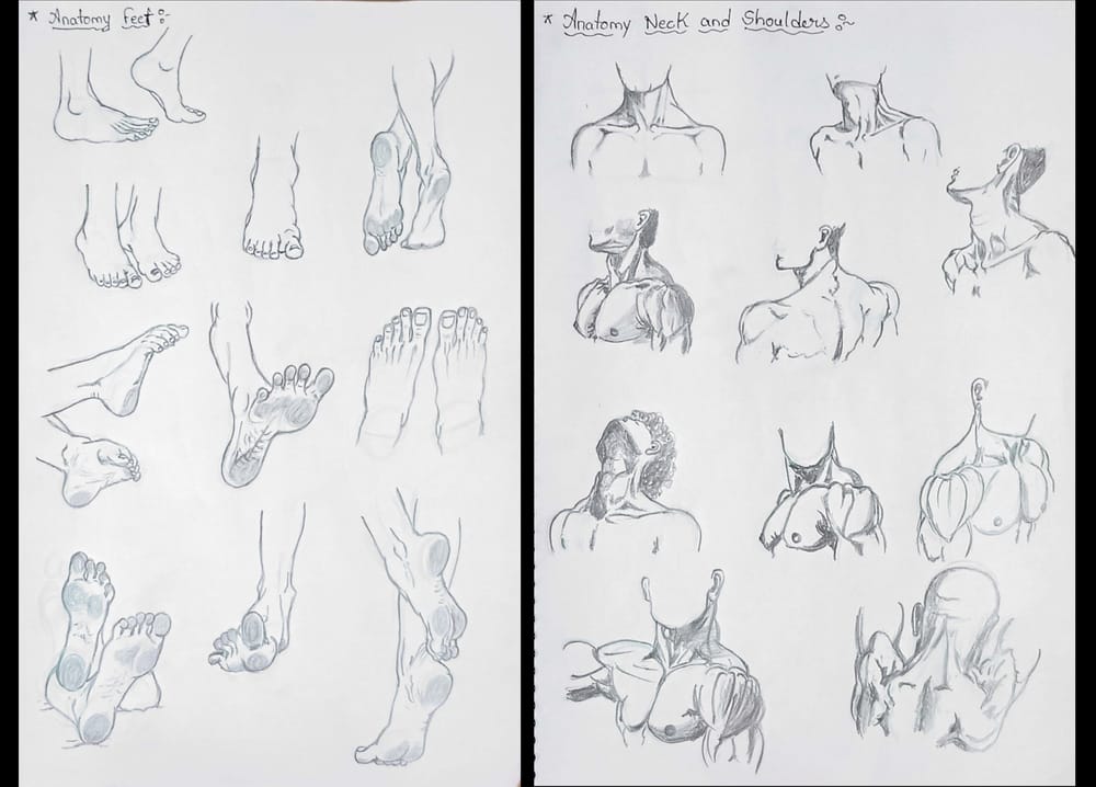 human anatomy - image 8 - student project
