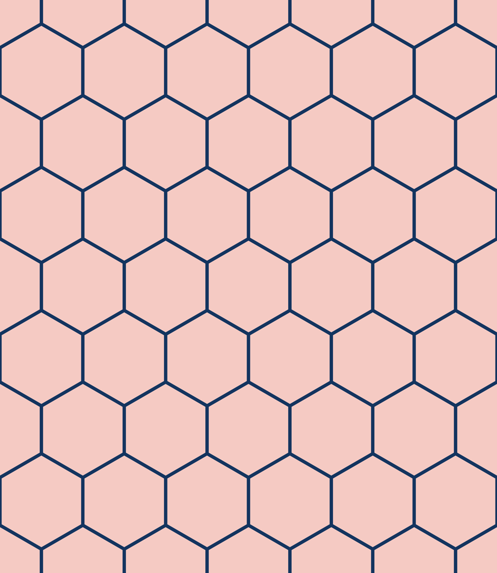 Hexagon Project - image 2 - student project