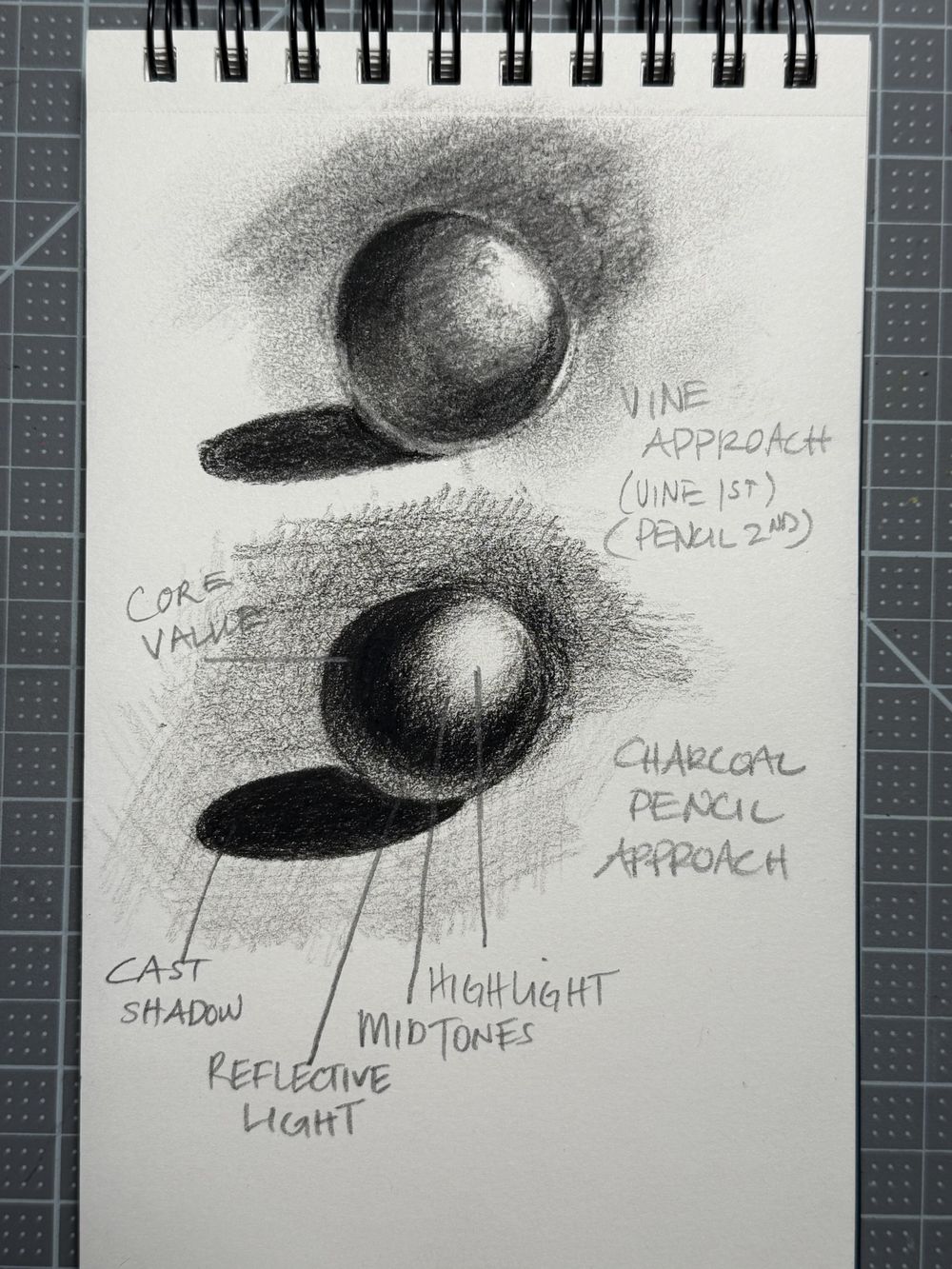Learning to use charcoal - image 2 - student project
