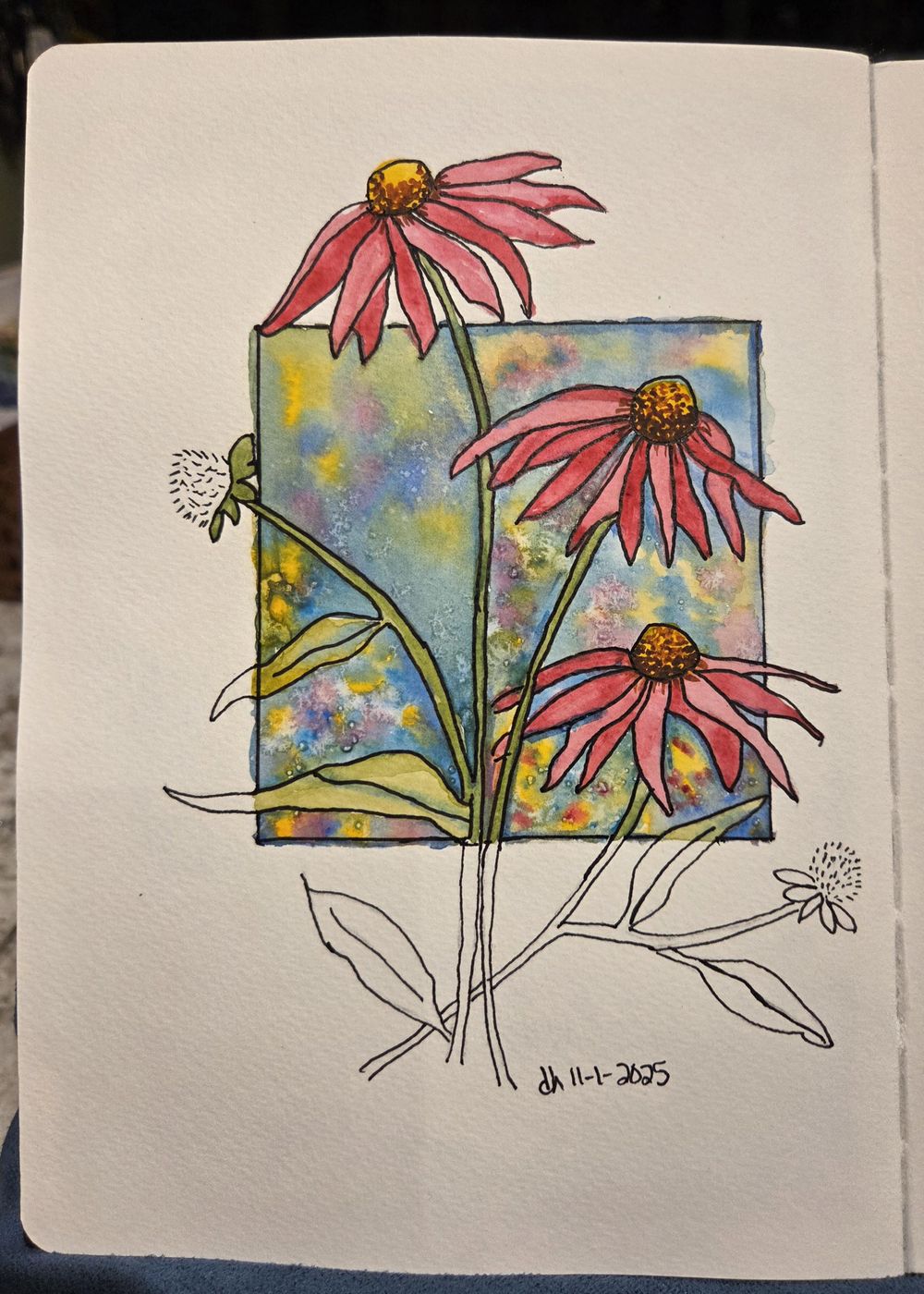 Echinacea Flower-Modern View - image 1 - student project