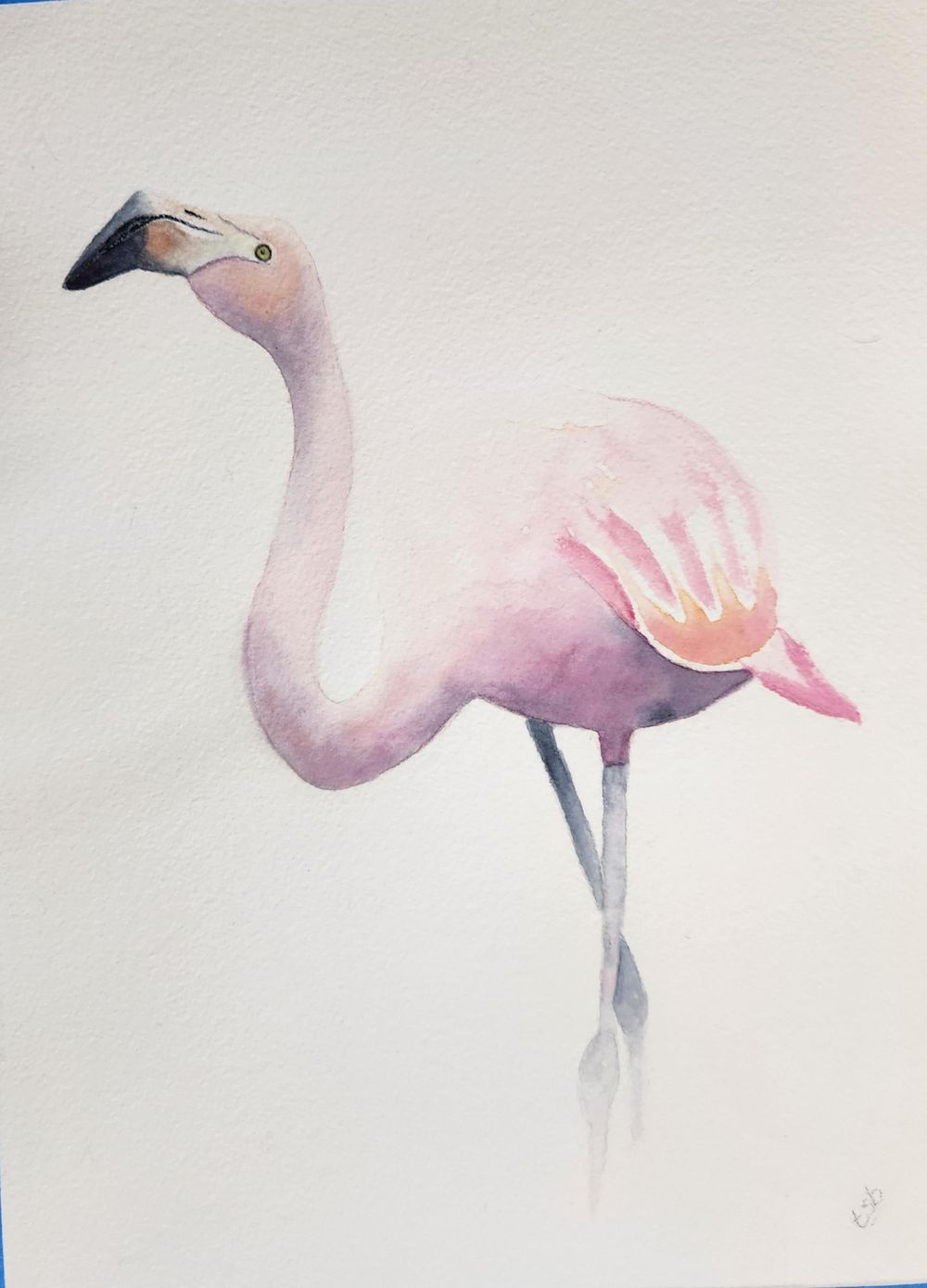 Flavius the flamingo - image 2 - student project