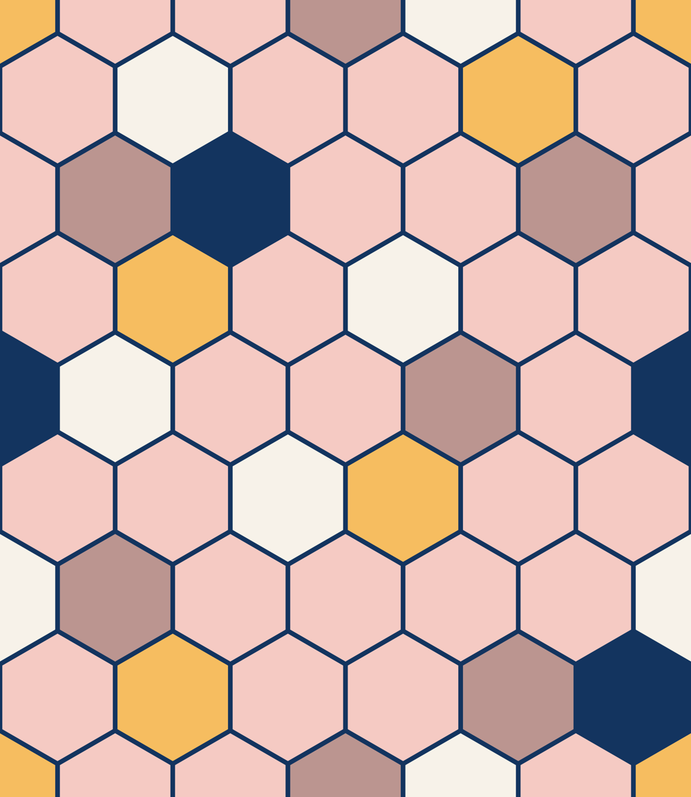Hexagon Project - image 6 - student project