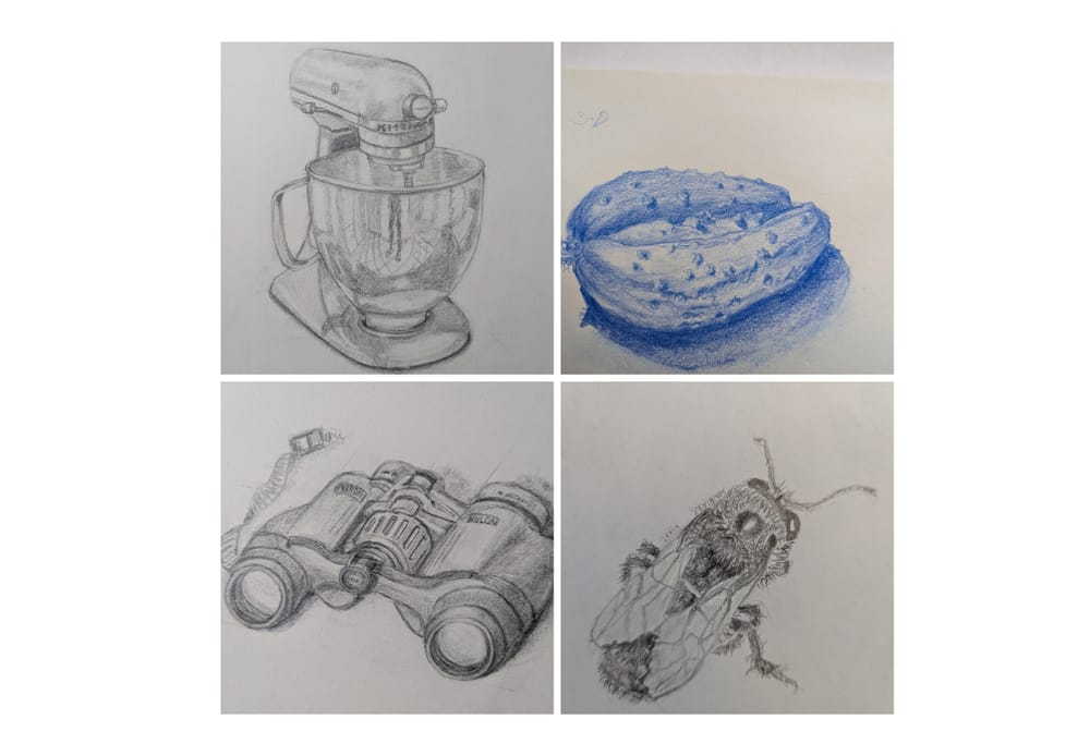 Drawing in Three Dimensions - image 4 - student project