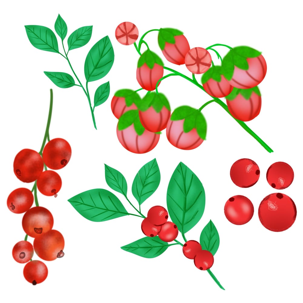 Flowers, leaves and berries in a picture bank - image 4 - student project