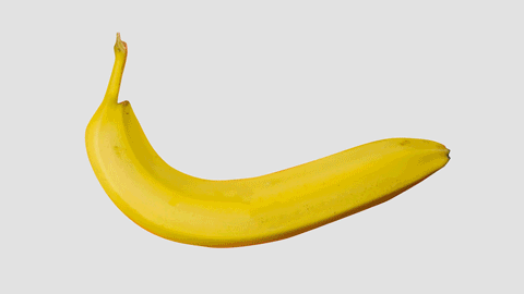 Let's go Bananas - image 1 - student project