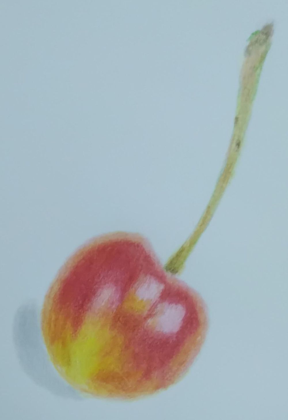 cherry - image 1 - student project