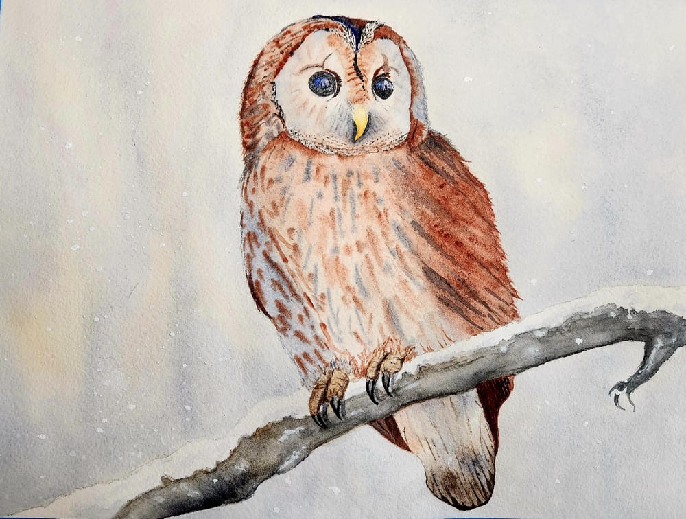 Winston the Owl - image 2 - student project