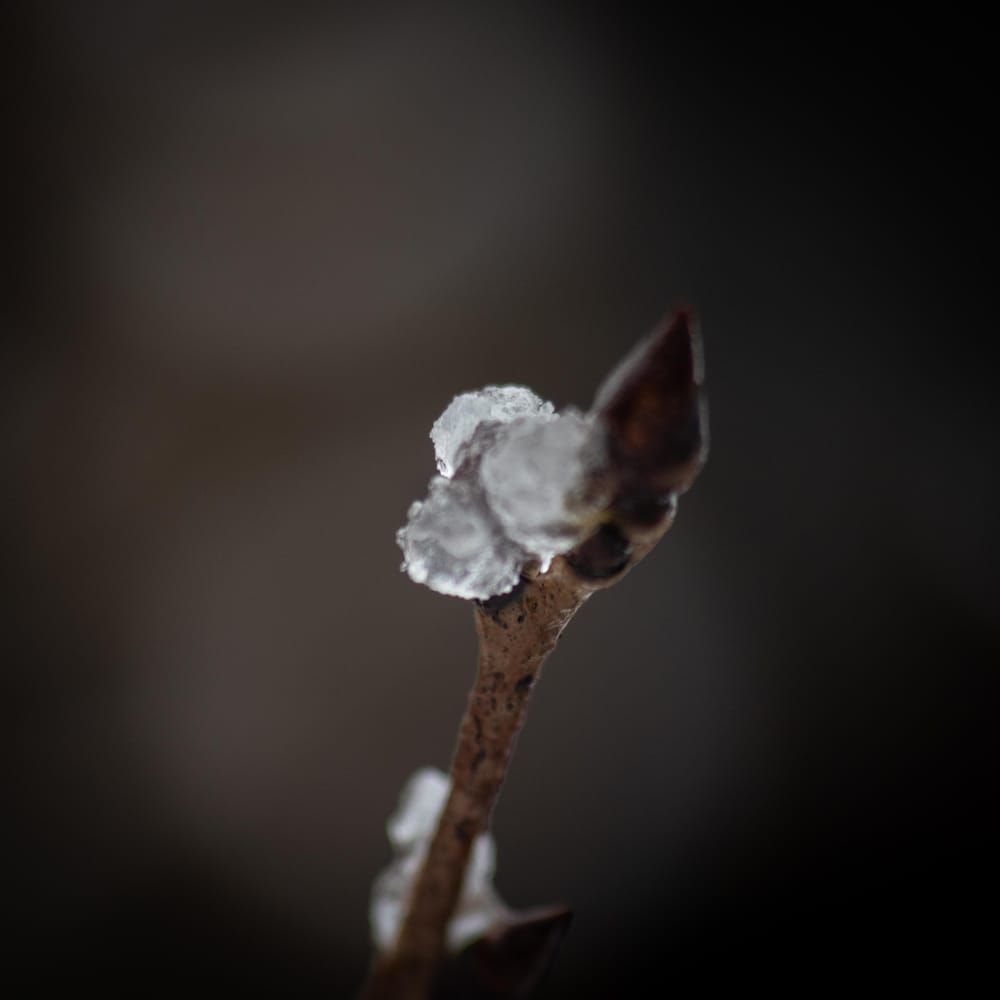 Seven daily mindful missions - image 1 - student project
