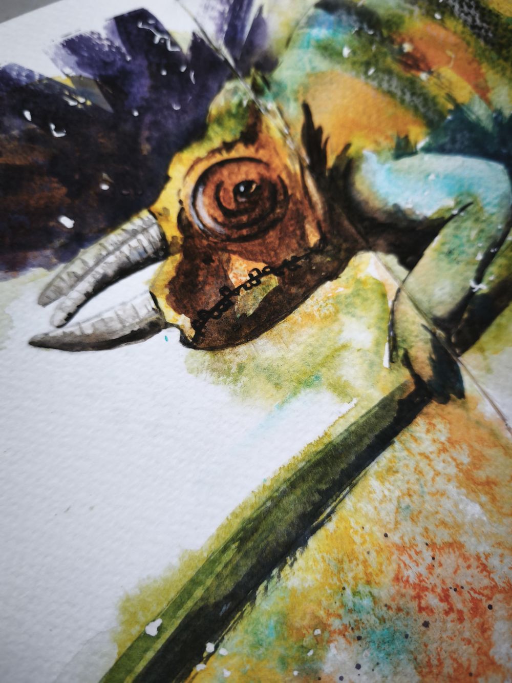 Rainbow Chameleon - image 2 - student project