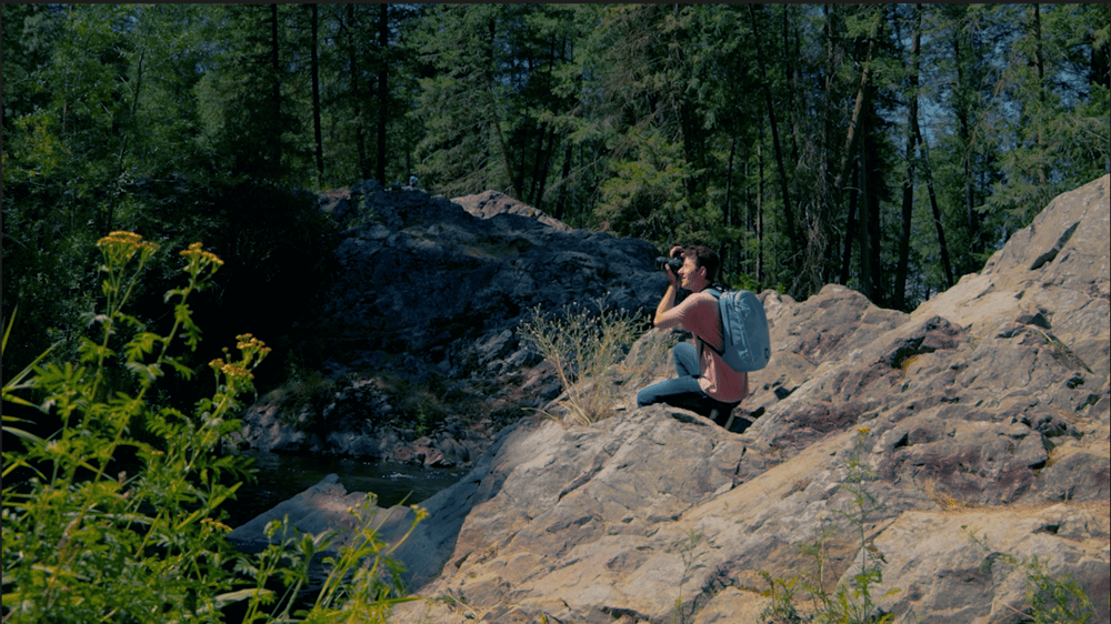 Intro to color correction and grading final project - image 1 - student project