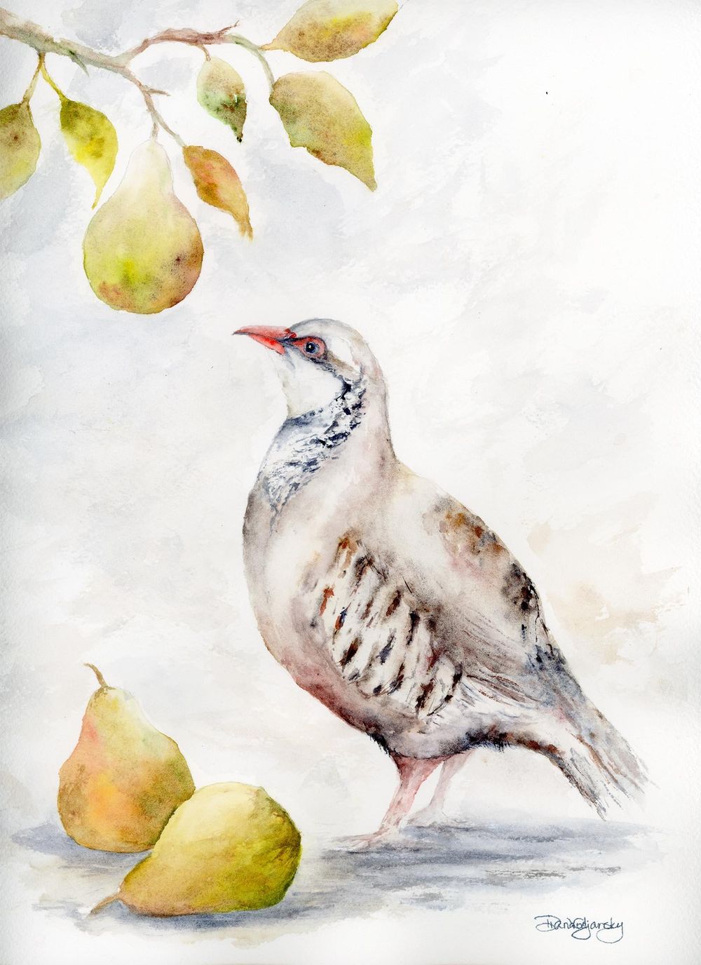 Beneath the Pear Tree - image 1 - student project