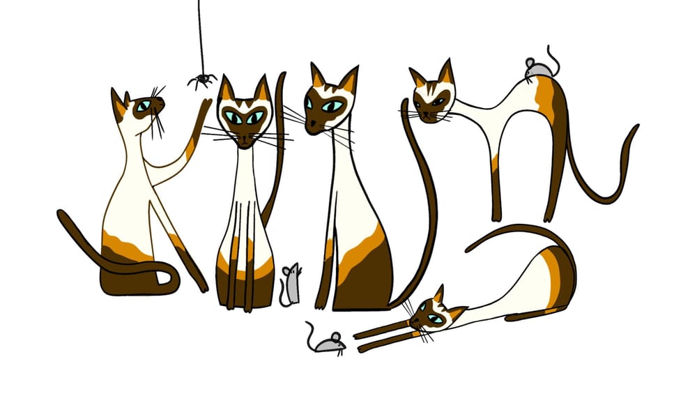 Cats and Mifty - image 6 - student project