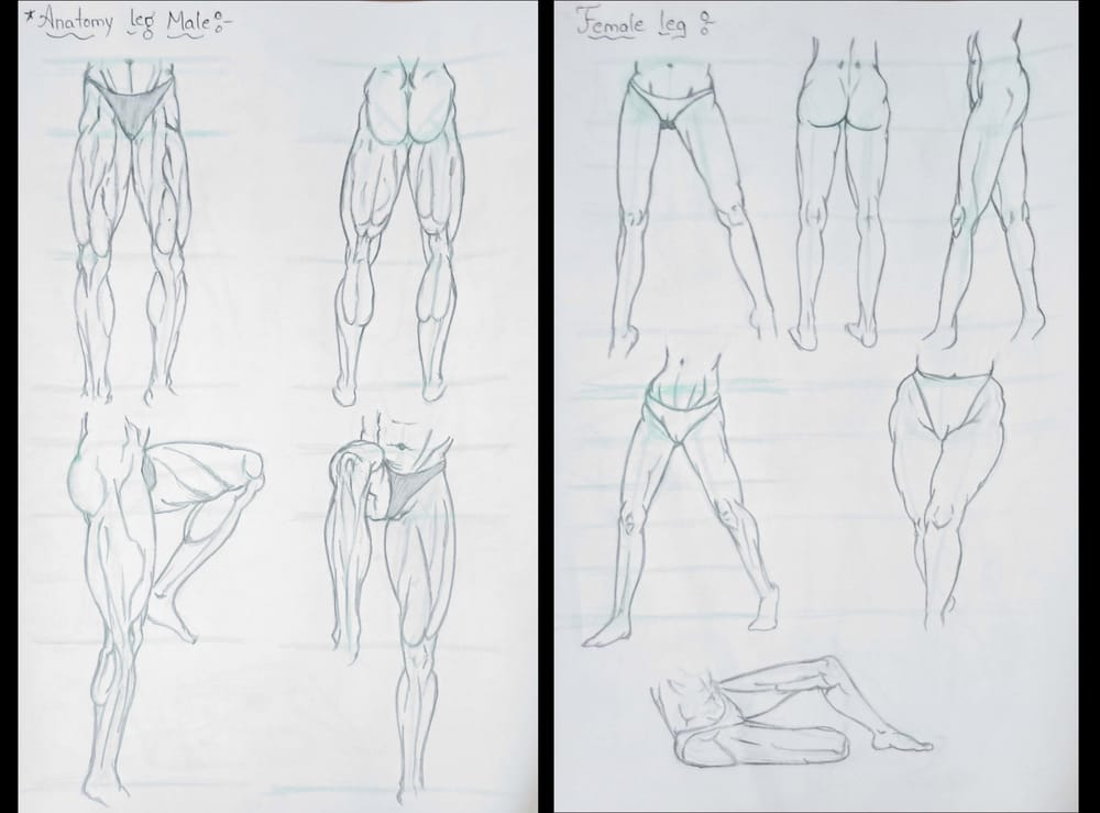 human anatomy - image 7 - student project