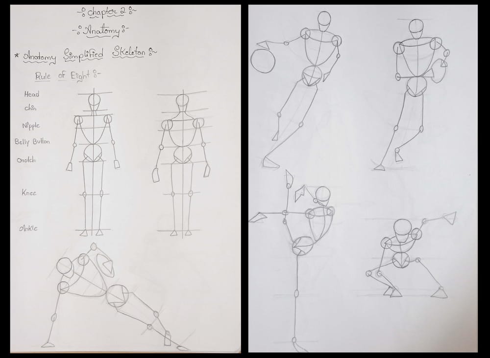 human anatomy - image 1 - student project