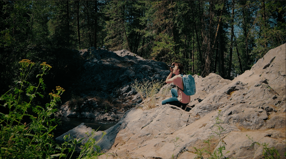 Intro to color correction and grading final project - image 3 - student project