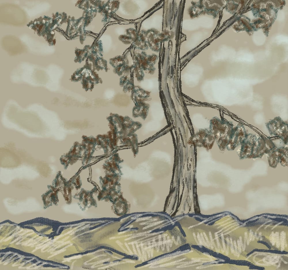 Studies - image 2 - student project