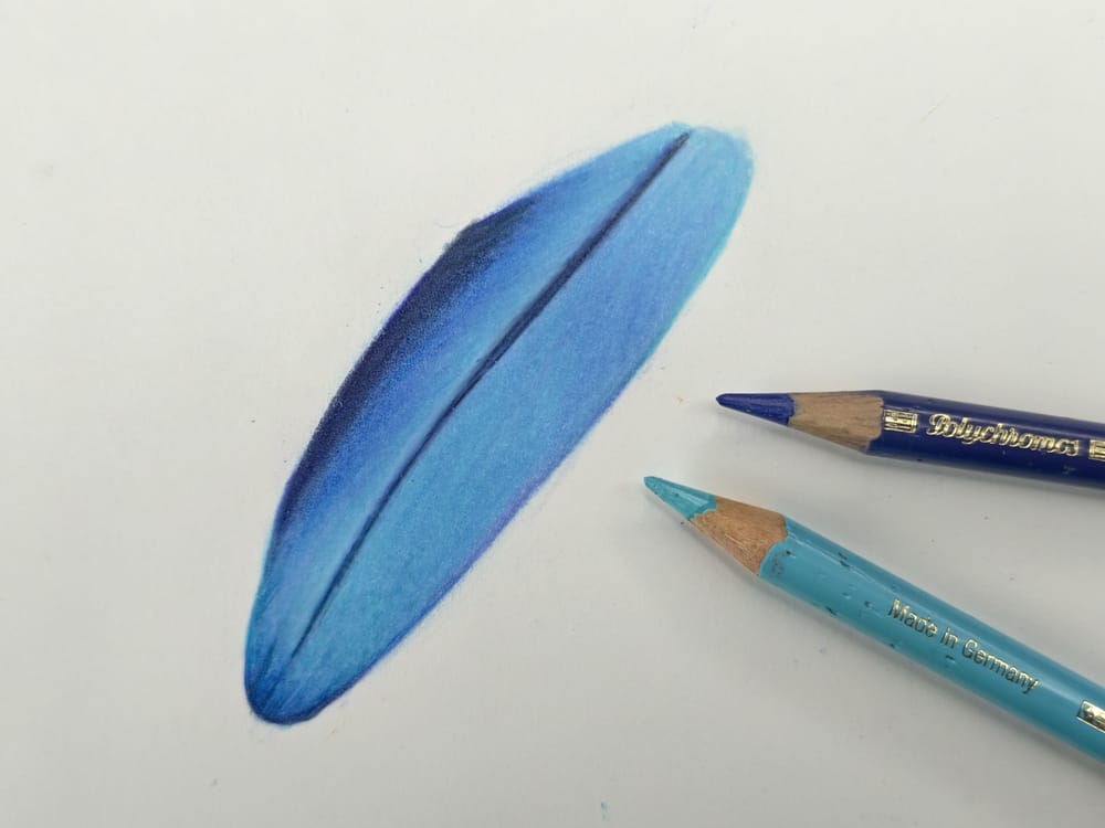 Macaw Feather Study - image 3 - student project