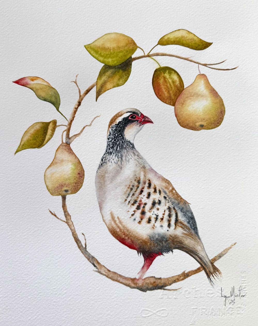 Partridge in a Pear Tree - image 1 - student project