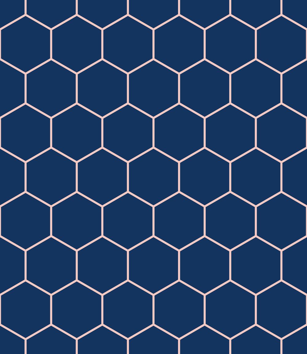 Hexagon Project - image 3 - student project