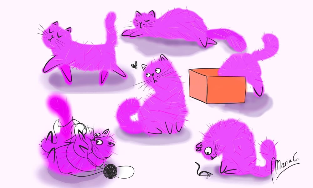 Cats and Mifty - image 8 - student project