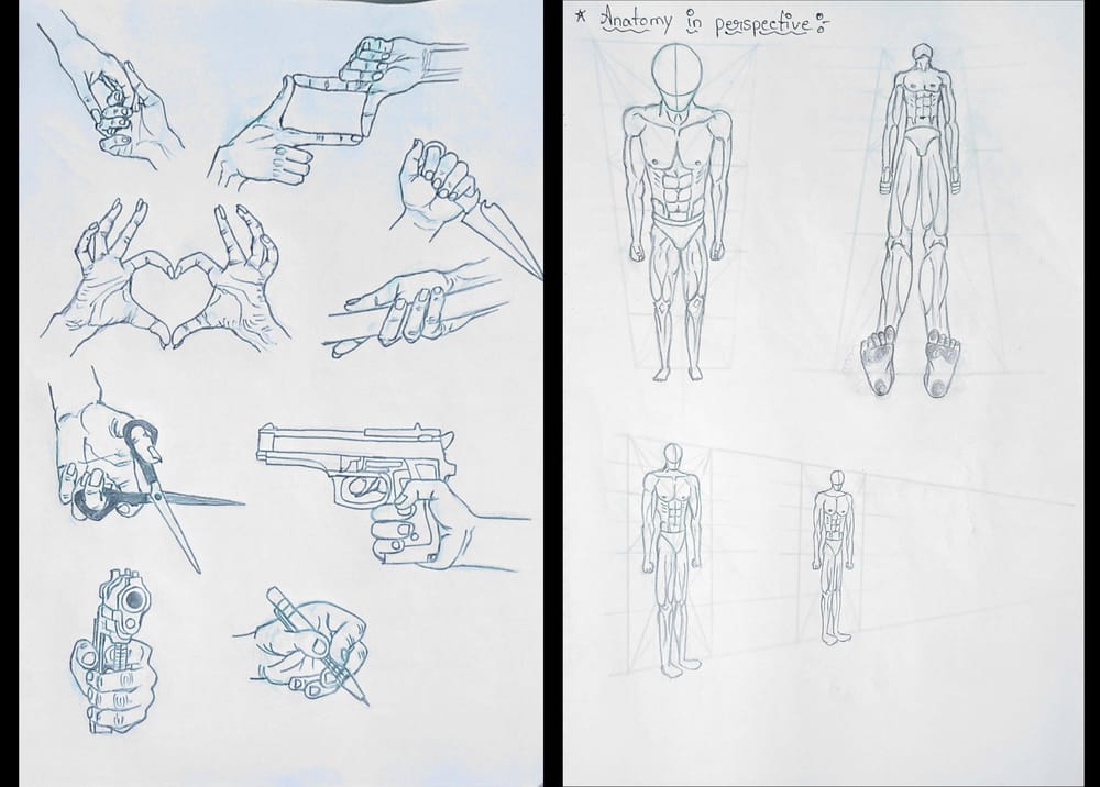 human anatomy - image 10 - student project