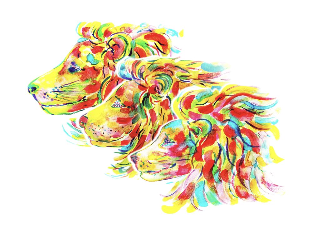Watercolor Lion - image 1 - student project