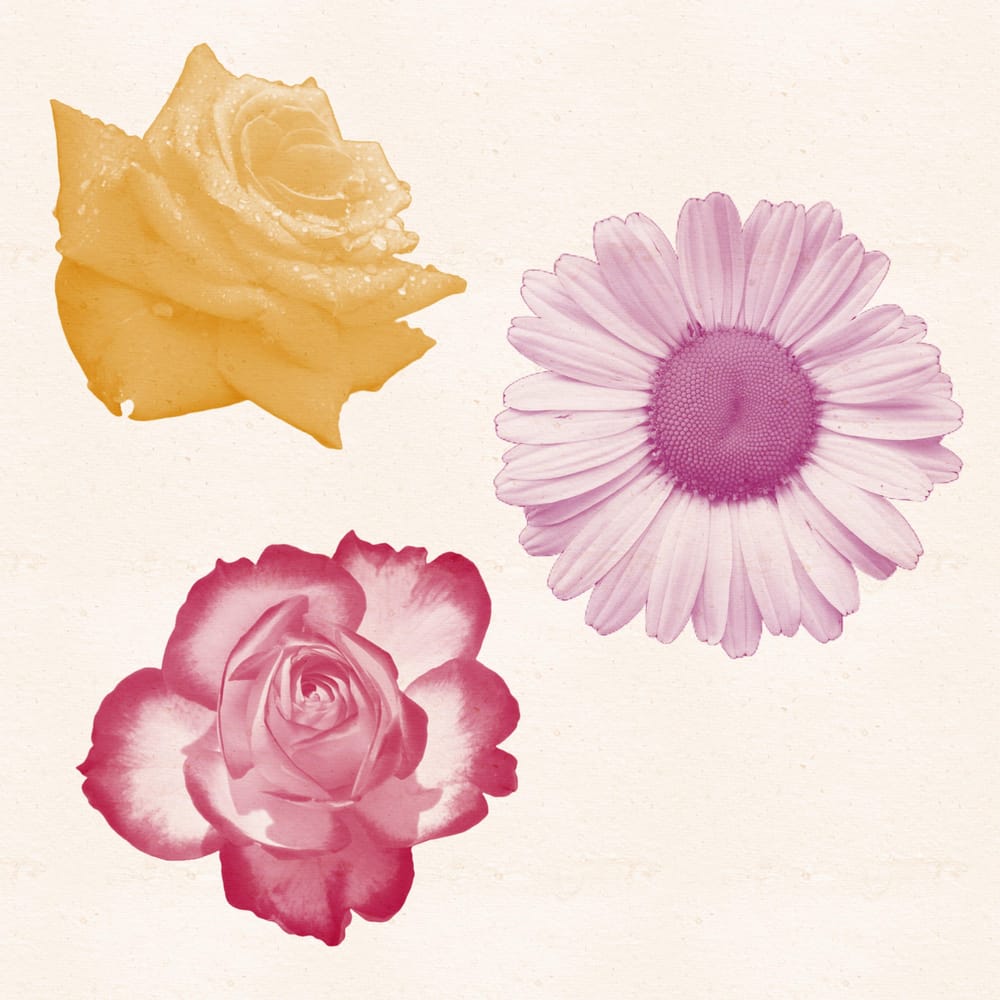 Photo Stamps - image 1 - student project
