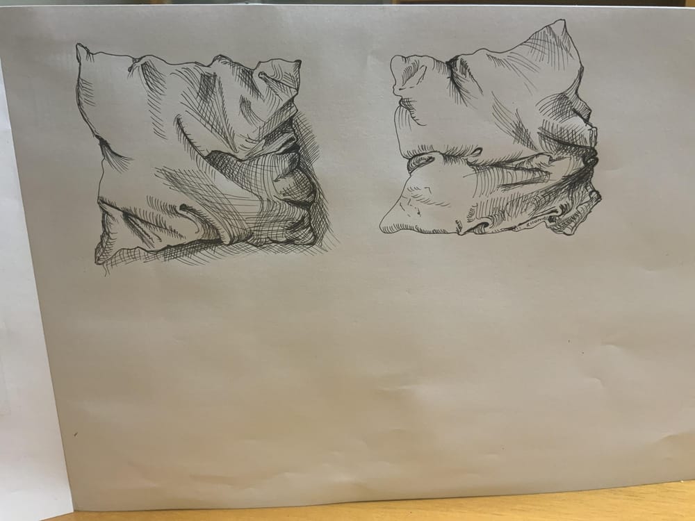 Ink Drawing Boot Camp: Building Killer Skills - image 2 - student project