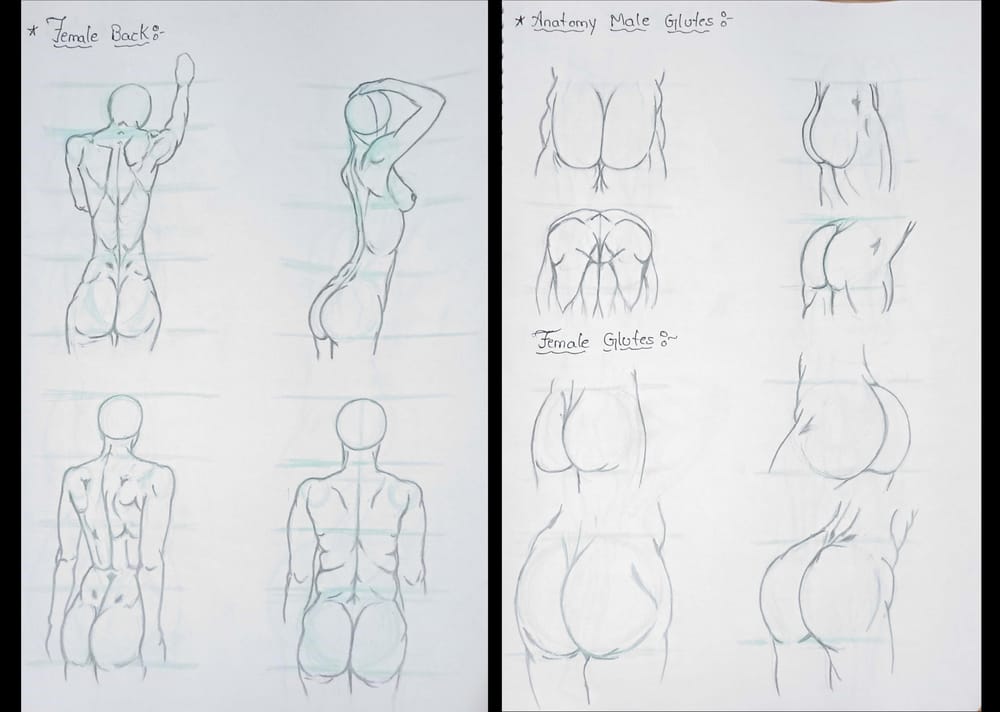 human anatomy - image 6 - student project