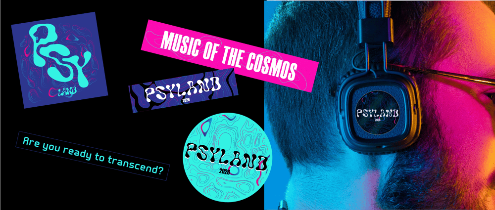 Psyland Music Festival - image 4 - student project