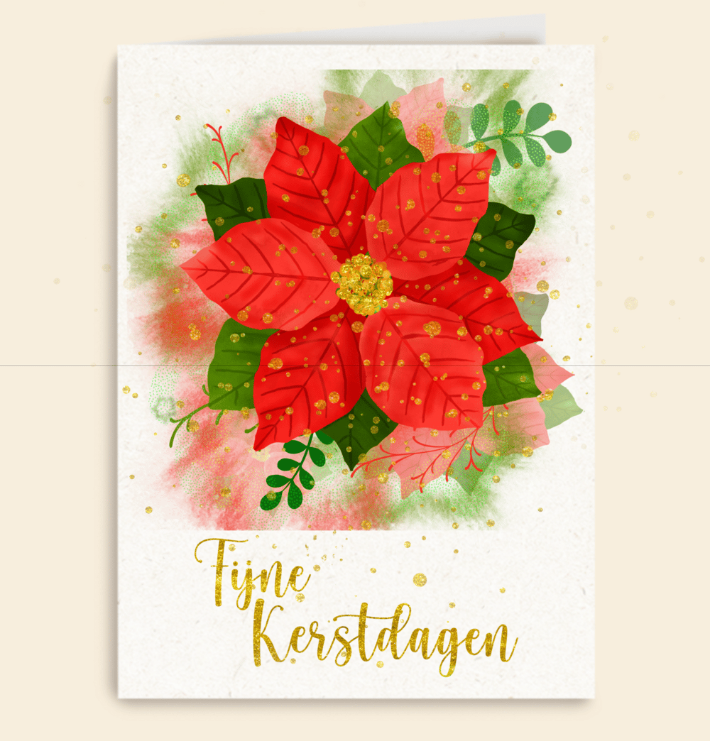 Poinsettia - image 1 - student project