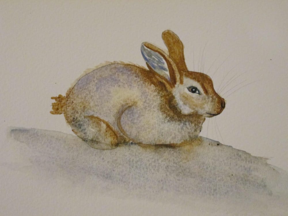 Snow Hare - image 1 - student project