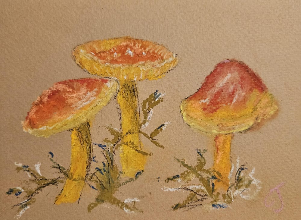 Mushrooms soft pastel - image 1 - student project