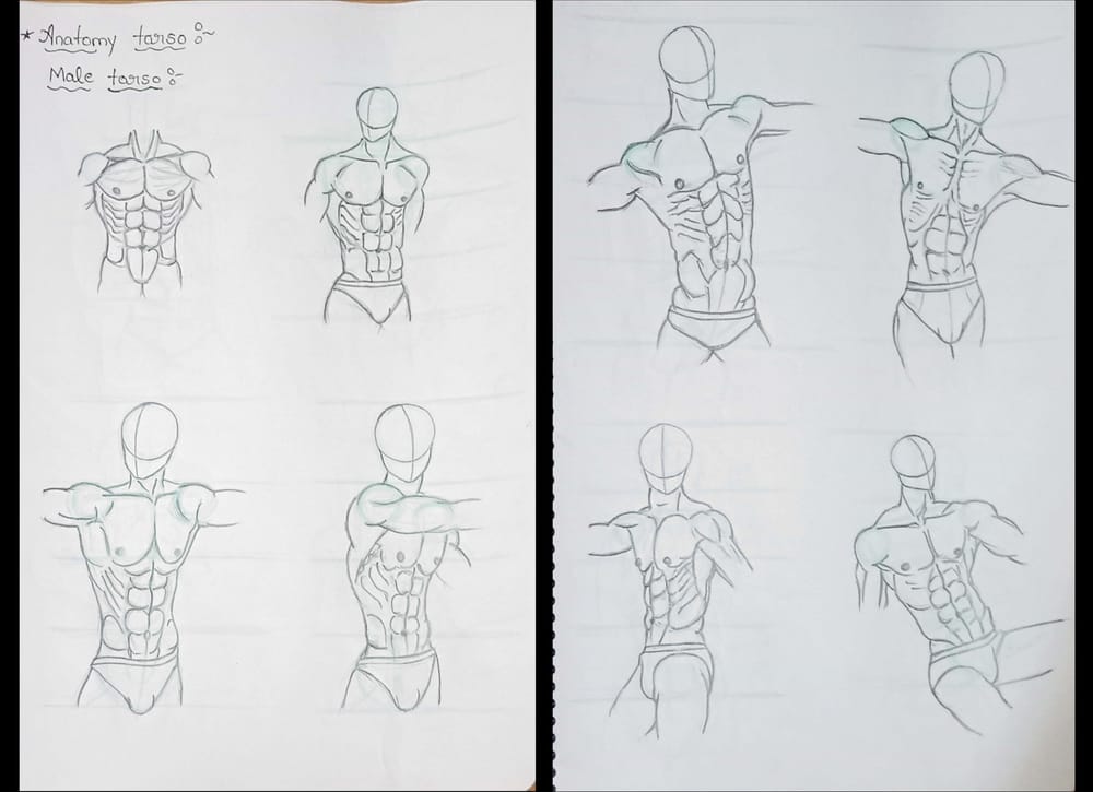 human anatomy - image 3 - student project
