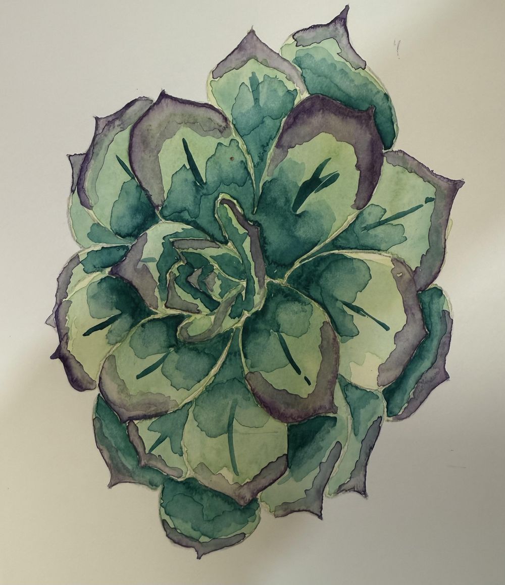 Watercolor Succulent - image 1 - student project