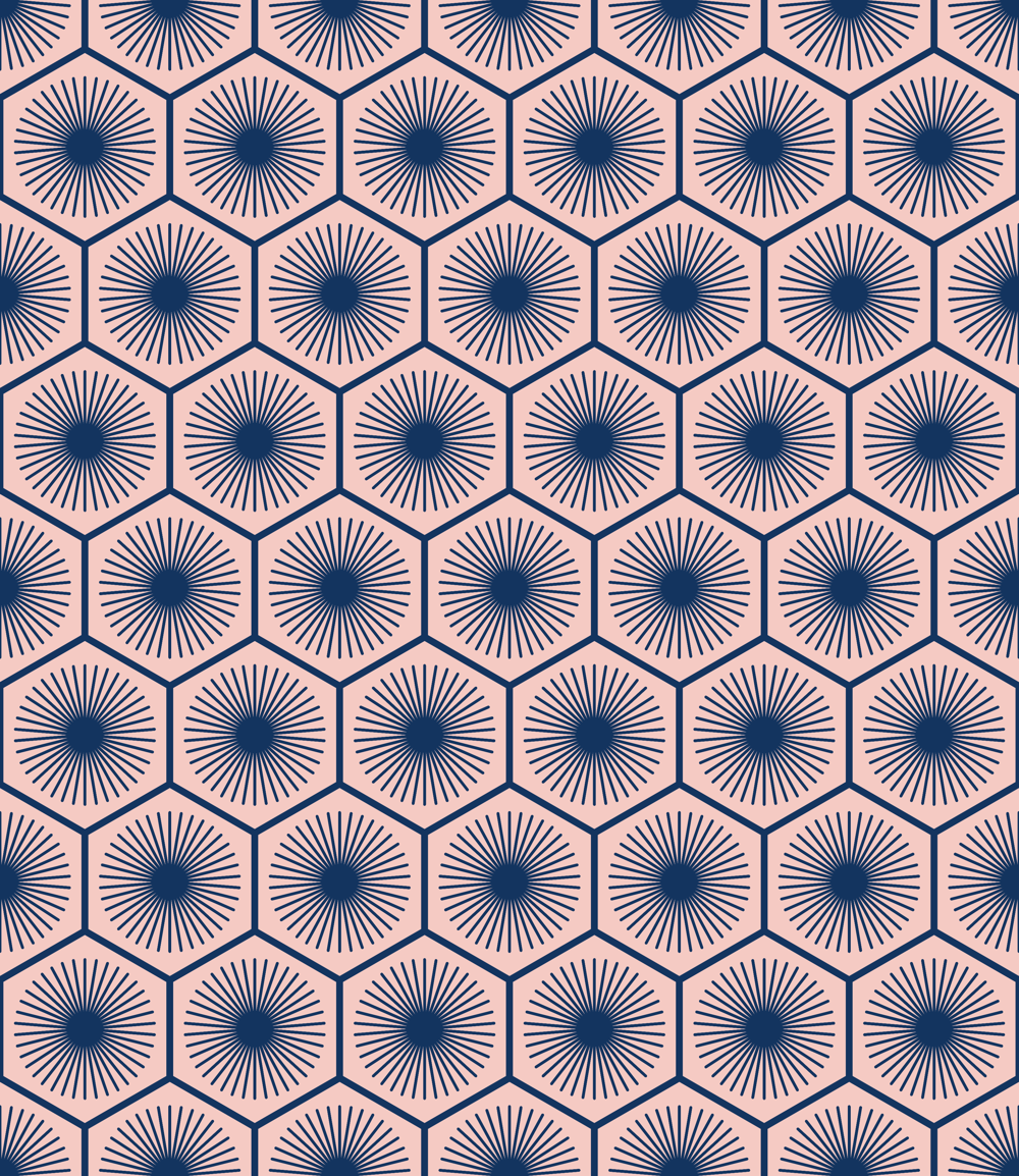 Hexagon Project - image 5 - student project